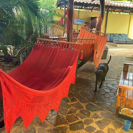 Tamarindo Backpackers Hostel Eksteriør bilde