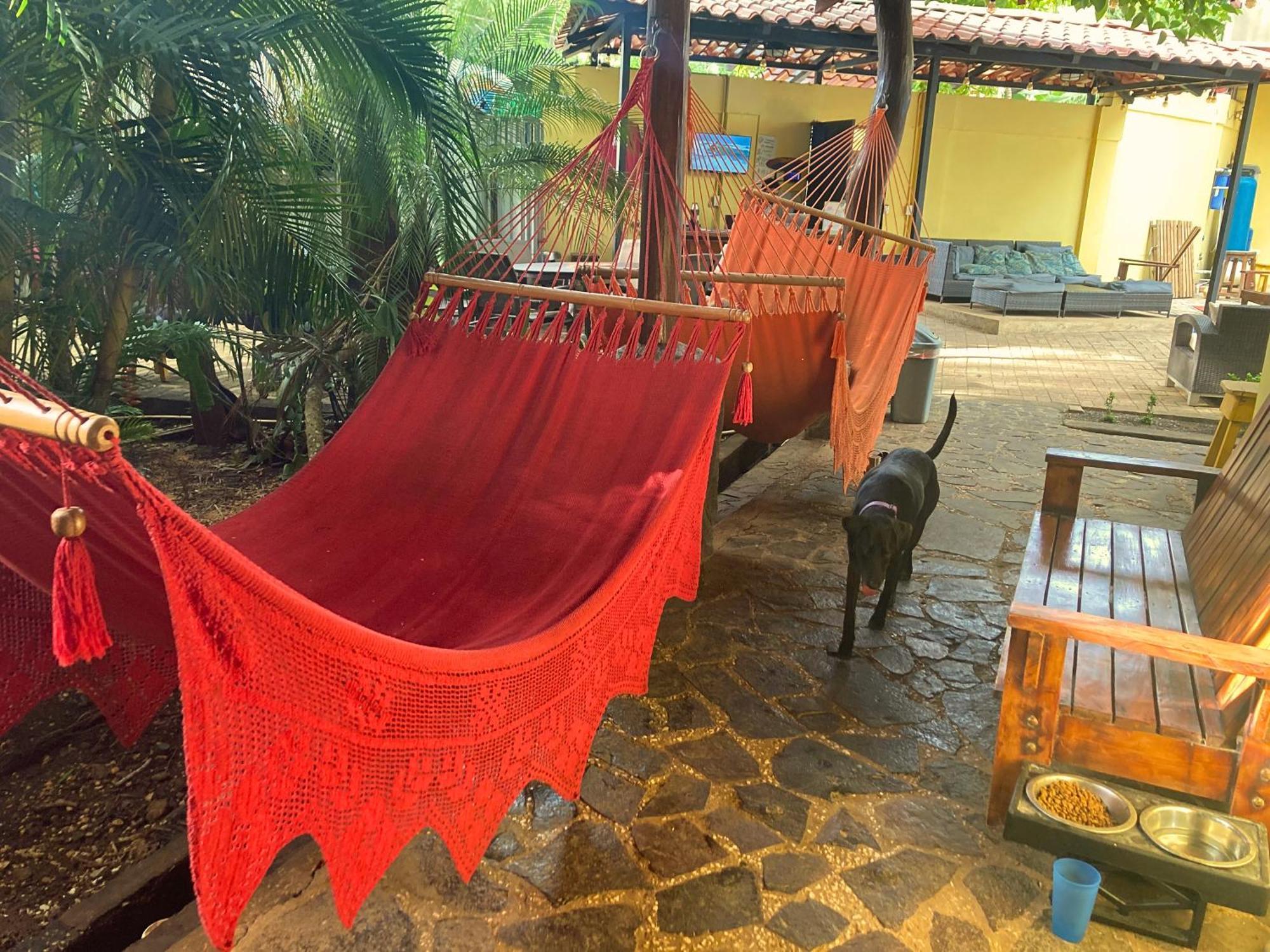 Tamarindo Backpackers Hostel Eksteriør bilde