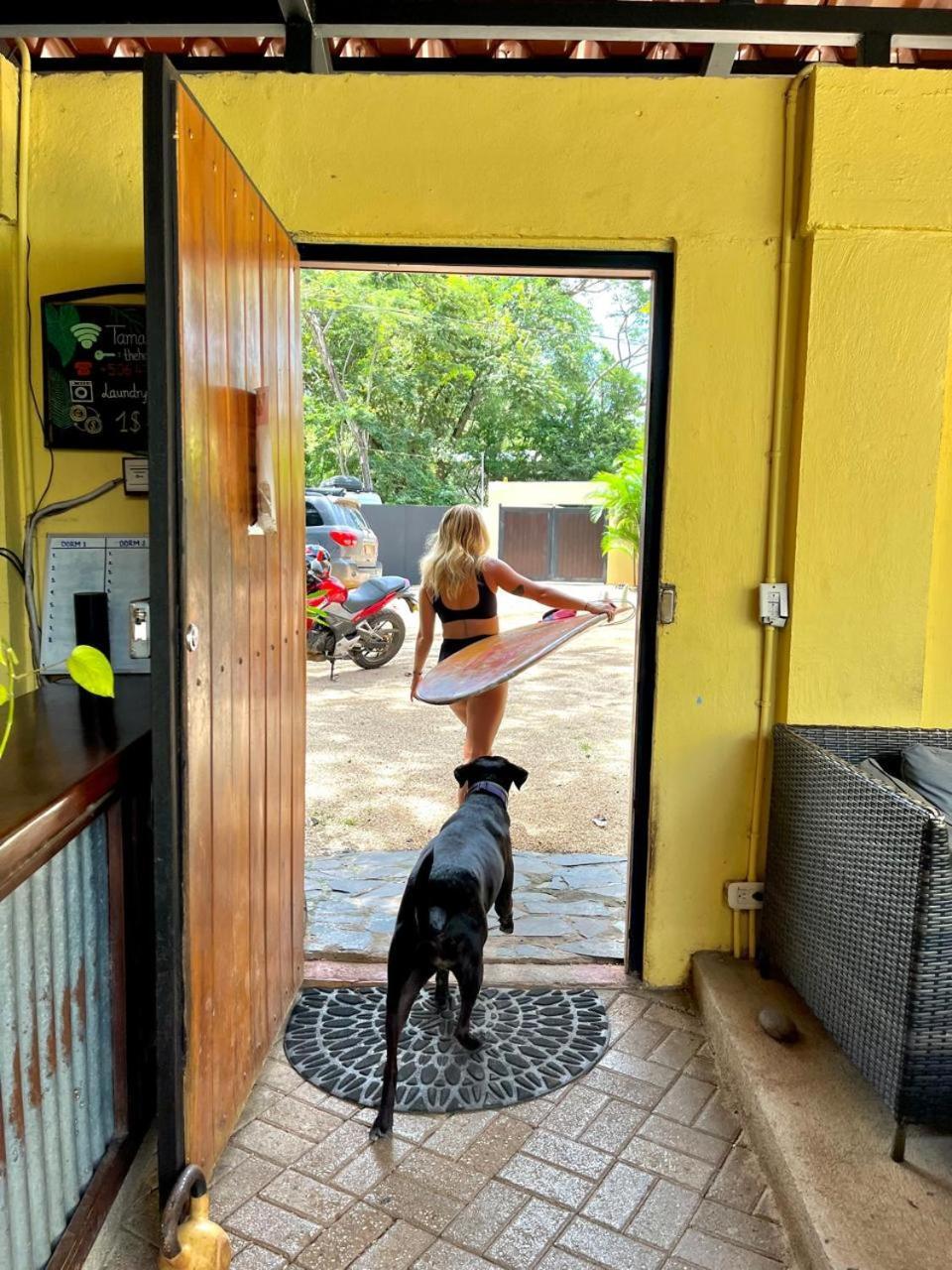 Tamarindo Backpackers Hostel Eksteriør bilde