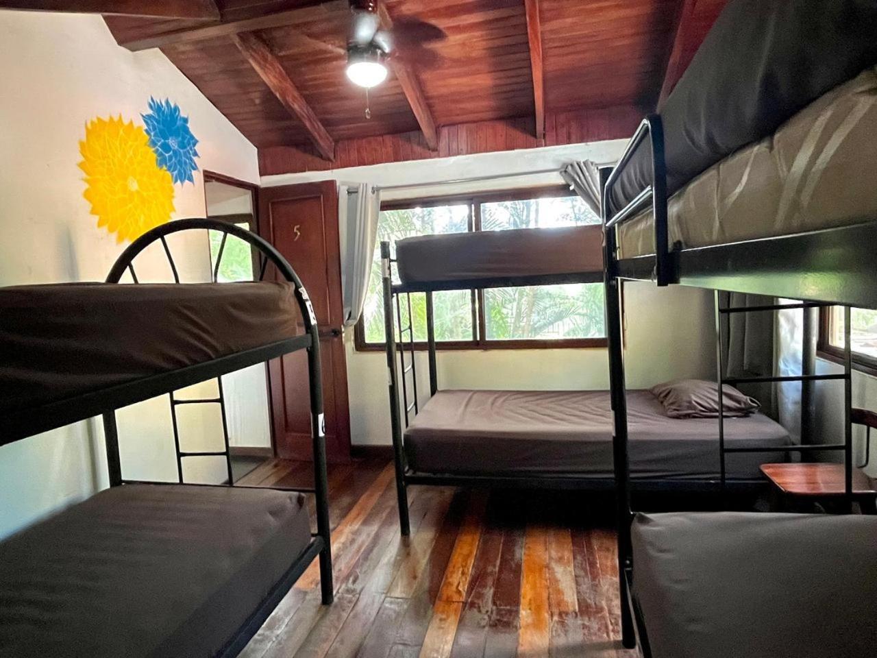 Tamarindo Backpackers Hostel Eksteriør bilde